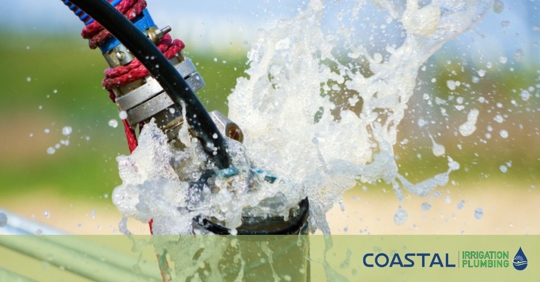 Cape Coral Watering Rules & Your Irrigation System